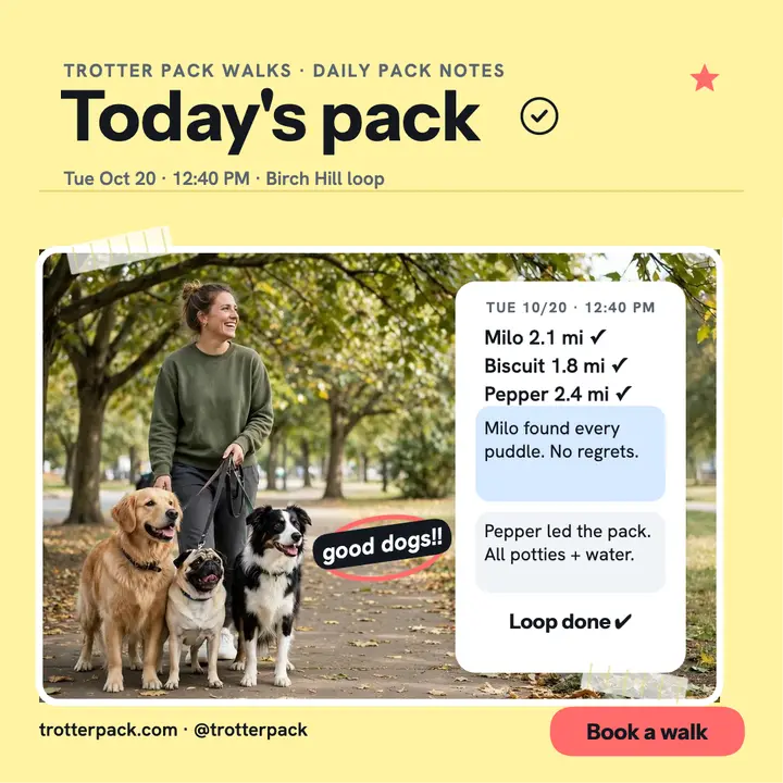 Trotter Pack Walks daily notes post template
