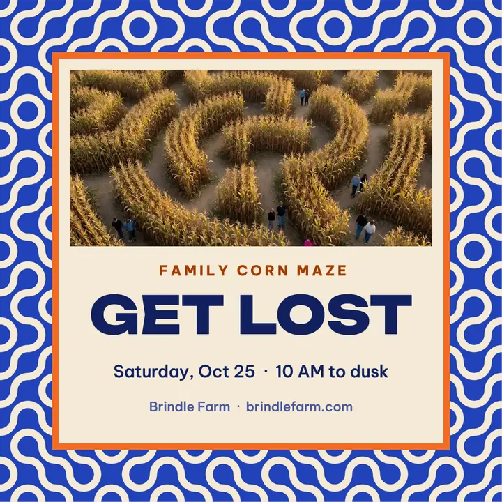 Brindle Farm corn maze template