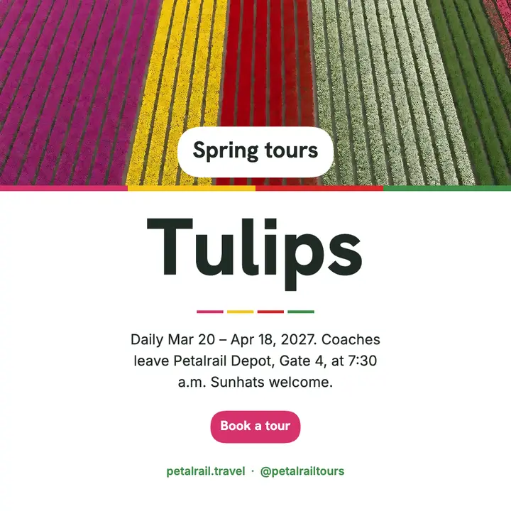 Tulip field spring tours aerial post template