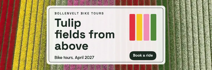 Tulip fields aerial X header: tulip tour x header template