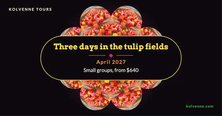 Kolvenne tulip fields trip kaleidoscope post template