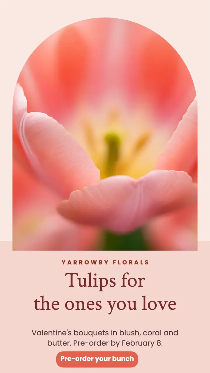 Valentine tulip bouquet pre-order, macro bloom template