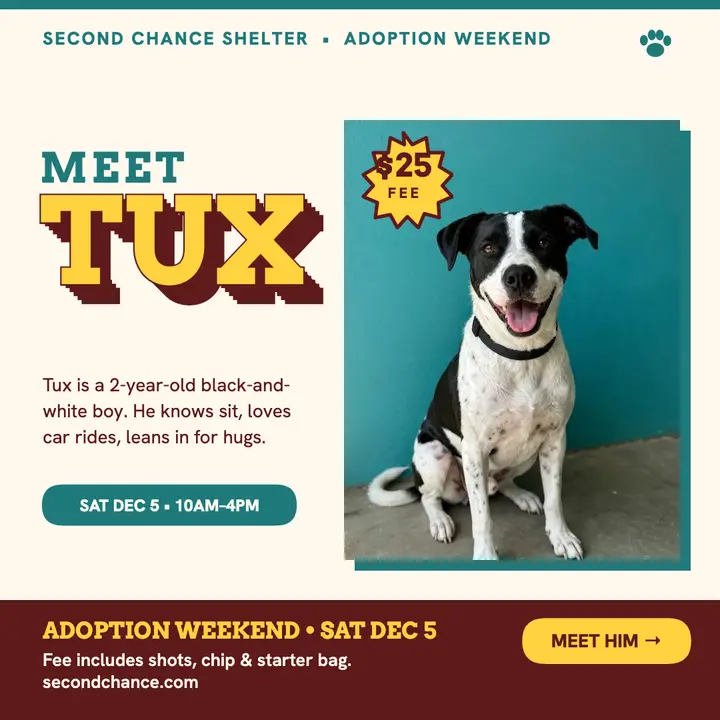 Meet Tux adoption weekend block post template