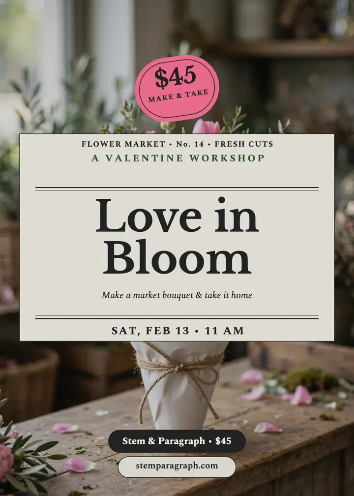 Stem and Paragraph Valentine workshop invitation template