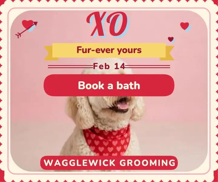 Wagglewick Valentine grooming special ad template