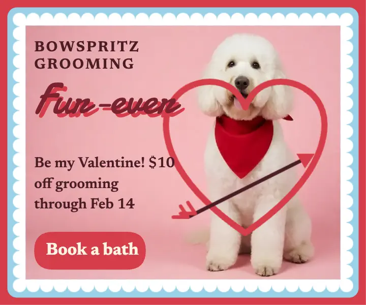 Dog groomer Valentine's pun card ad template