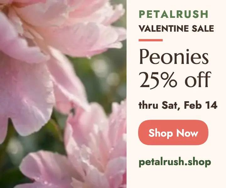 Petalrush Valentine peony sale ad template