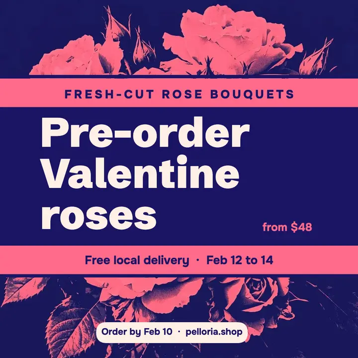 Valentine rose pre-order duotone square post template