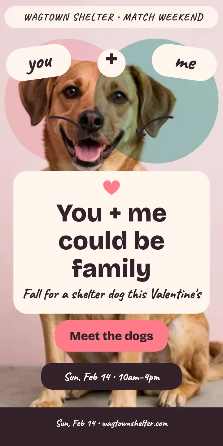 Wagtown Shelter Valentine match ad template