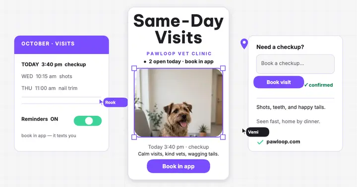 Pawloop same-day vet visits app post template
