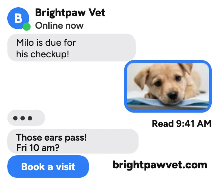Brightpaw Vet puppy checkup thread ad: vet clinic ad template