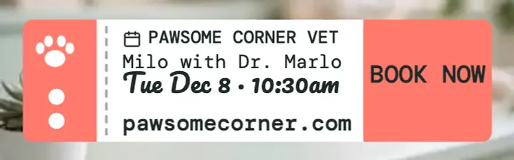 Pawsome Corner vet visit card banner template