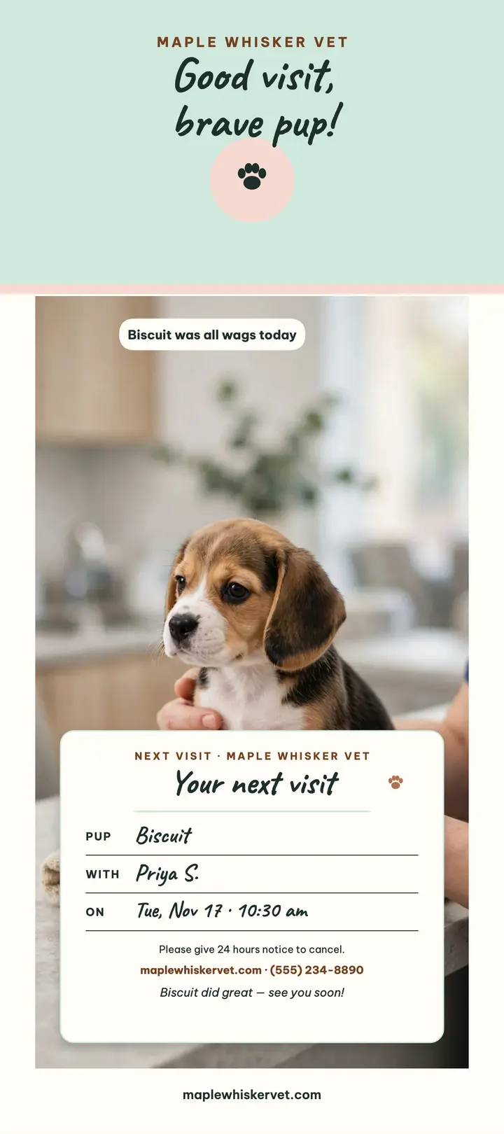 Maple Whisker Vet visit reminder rack card template