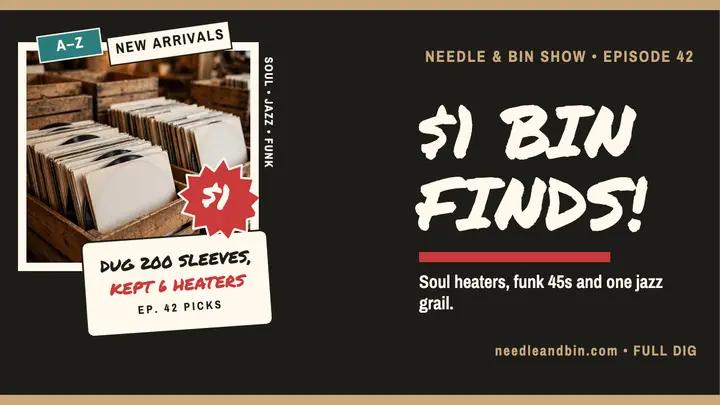 Needle and Bin dollar finds thumbnail template