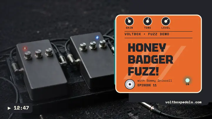 Voltbox Honey Badger fuzz demo thumbnail template