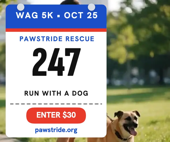 Pawstride Rescue Wag 5K bib ad template
