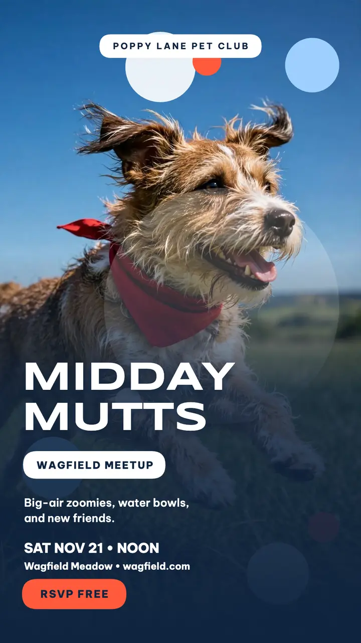 Wagfield midday dog meetup story: dog meetup story template