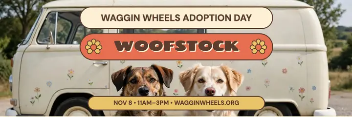 Waggin Wheels groovy adoption day header template