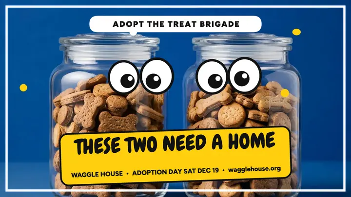 Waggle House treat jars adoption thumbnail template