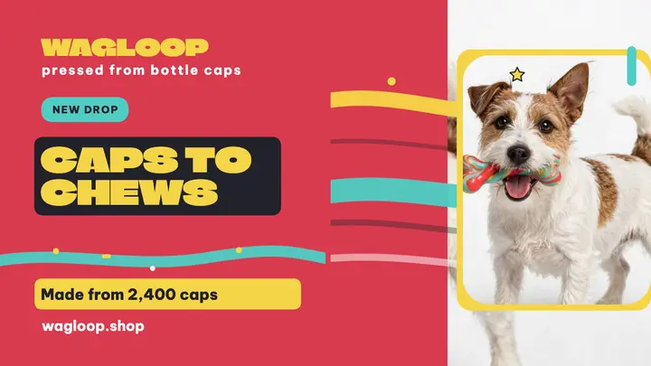 Wagloop recycled toys launch thumbnail template