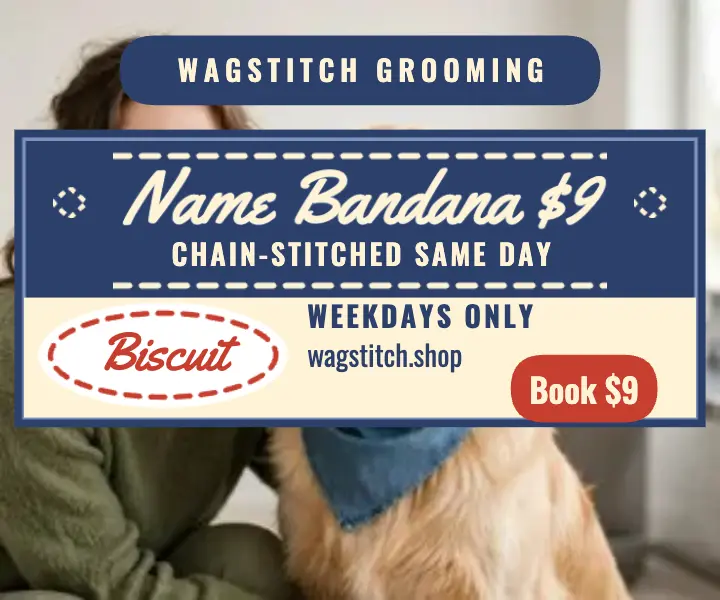 Wagstitch bandana special denim ad template