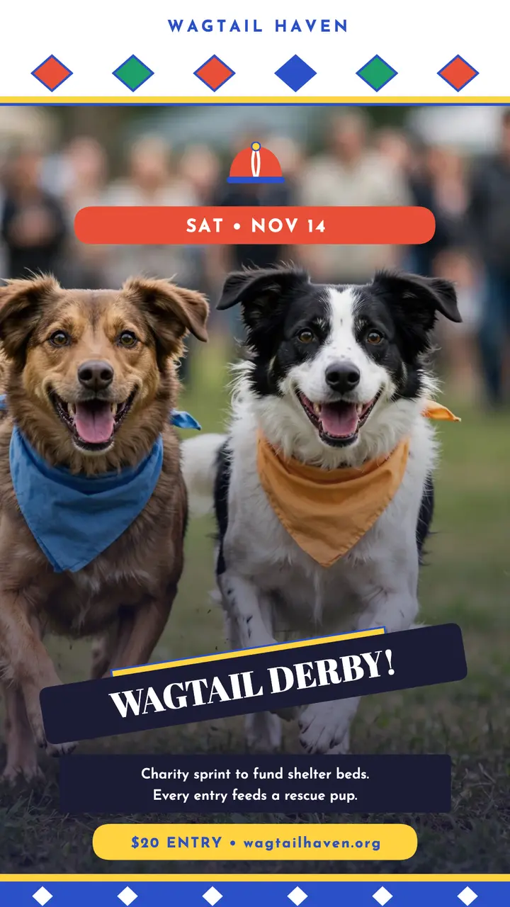 Wagtail derby day pet story template