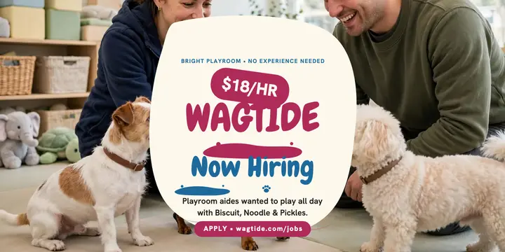 Wagtide daycare hiring post template