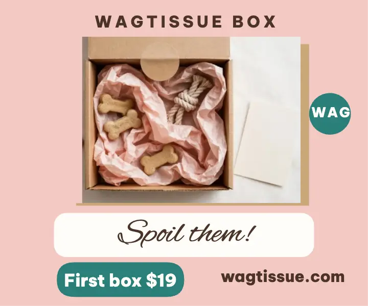Wagtissue Box pet subscription ad template