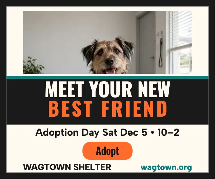 Wagtown Shelter adoption day rectangle ad template