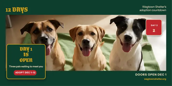 Wagtown 12 days of adoption advent post template