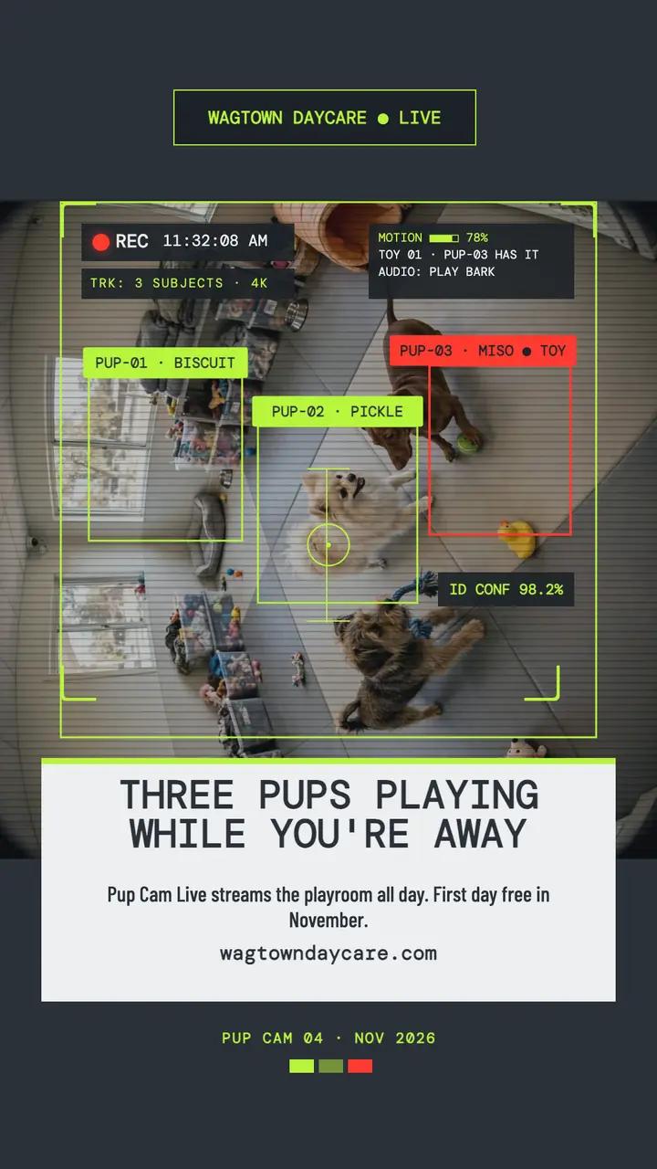 Wagtown Daycare pup cam story: dog daycare story template