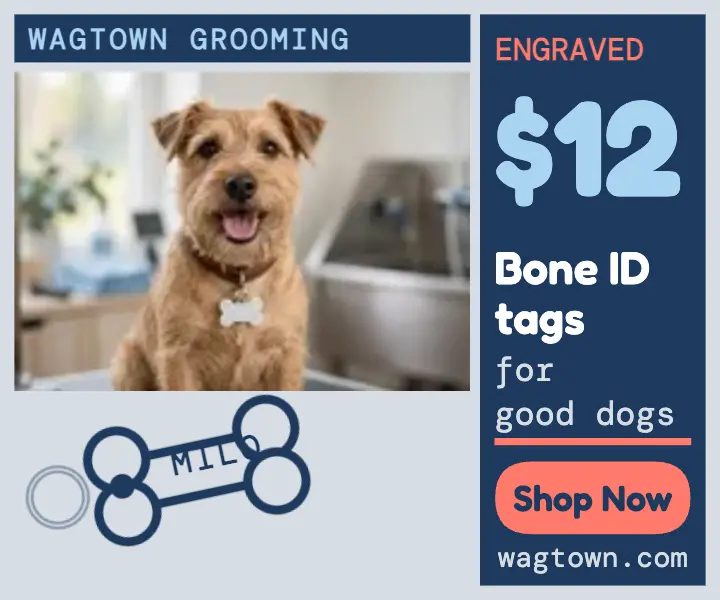 Wagtown engraved pet tag ad template