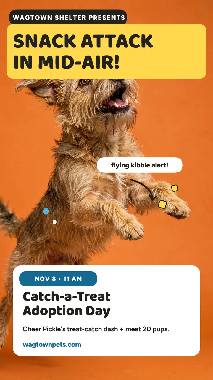 Pickle treat-catch adoption story template