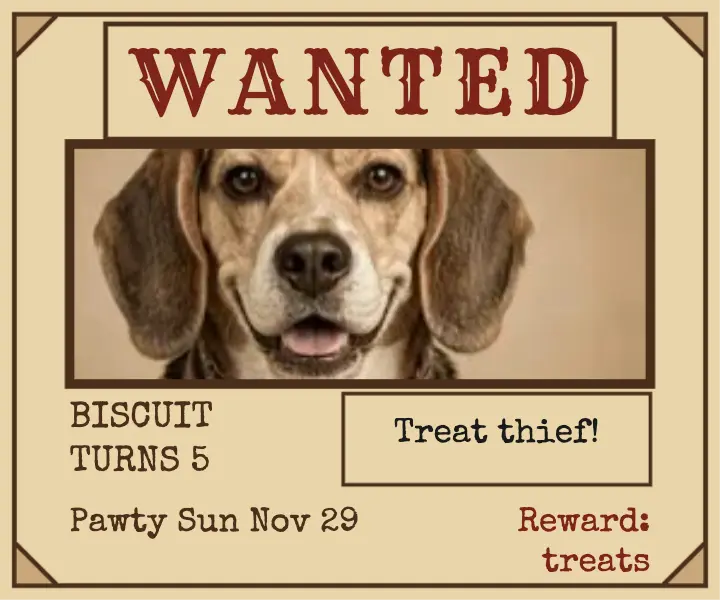 Biscuit wanted dog birthday ad template