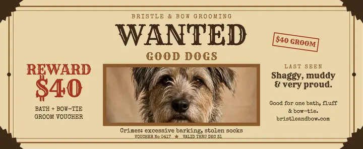 Wanted good dogs groomer voucher template