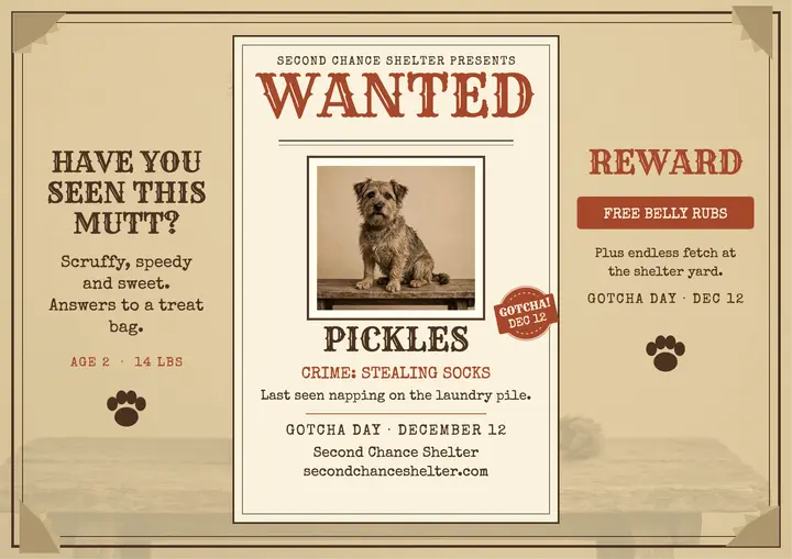 Pickles wanted gotcha day certificate: gotcha day certificate template