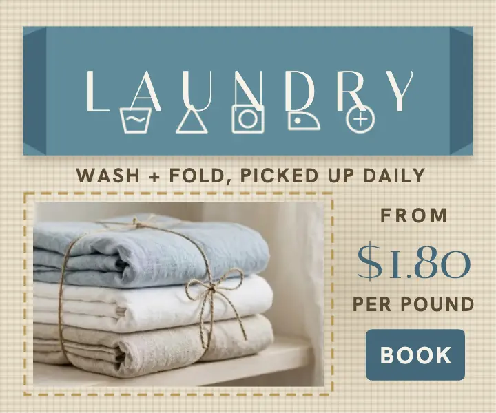 Soapline wash and fold laundry ad template