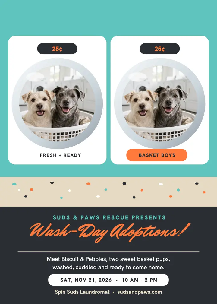 Suds and Paws wash-day adoption invitation: dog adoption invitation template