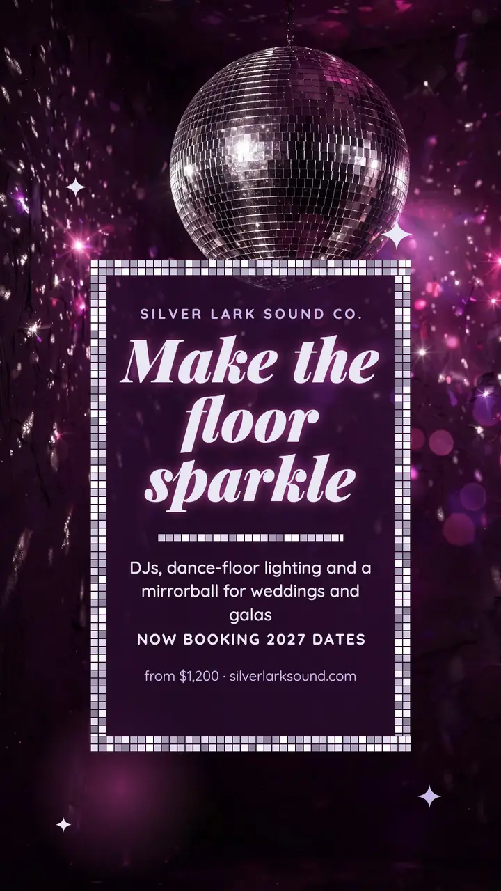 Silver Lark Sound wedding DJ story template