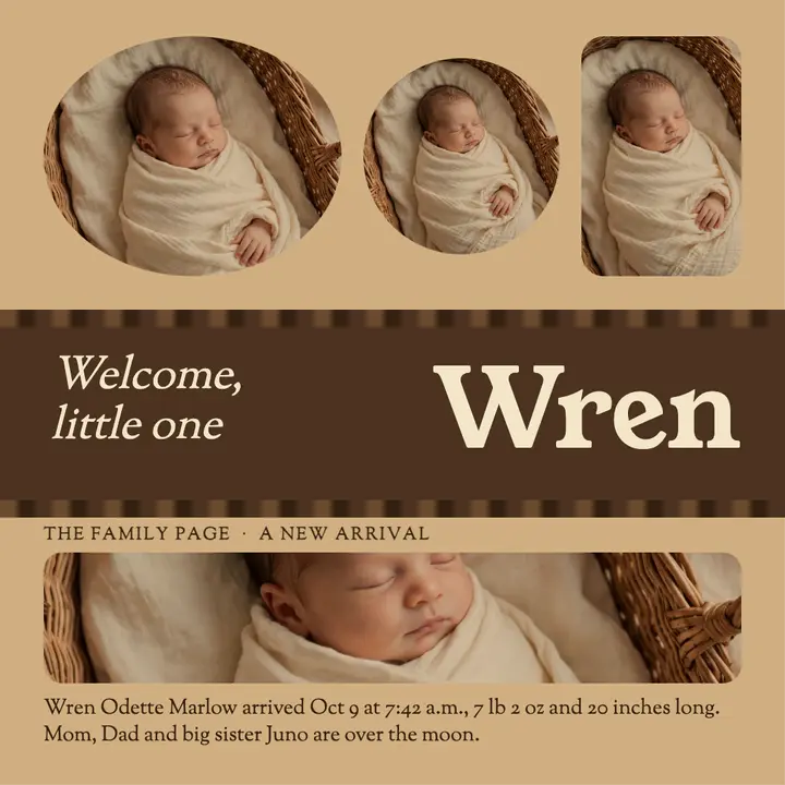 Welcome Wren birth announcement picture page template