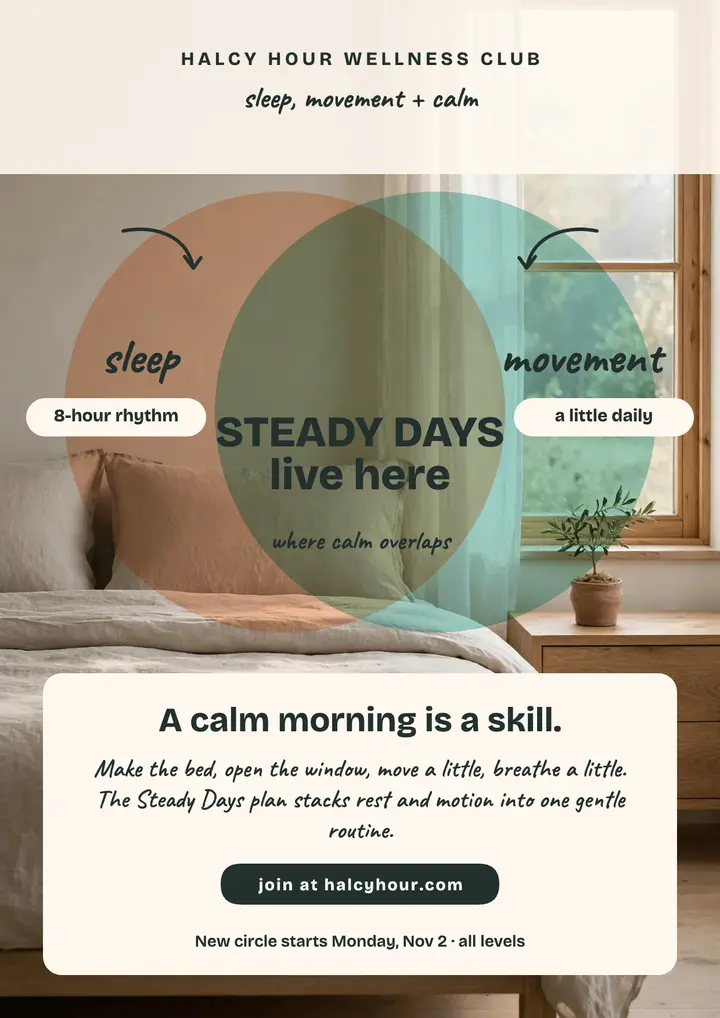Steady Days wellness Venn flyer: wellness routine flyer template