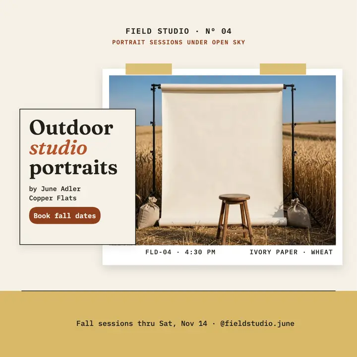 Field Studio outdoor portraits in wheat field template