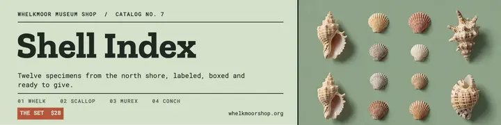 Whelkmoor museum shop shell index LinkedIn banner template