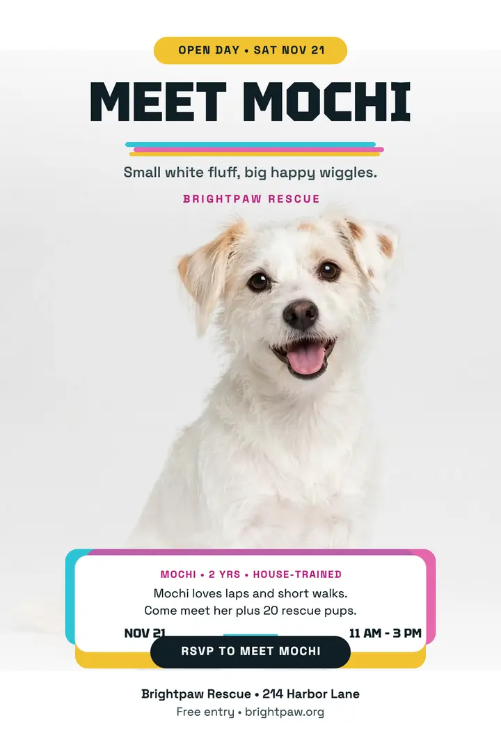 Mochi white dog adoption poster template