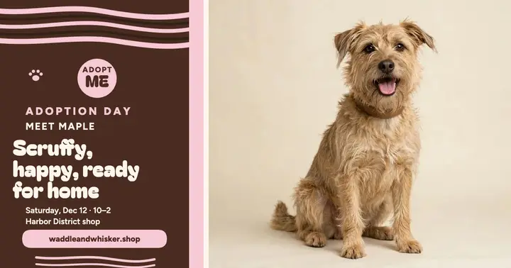 Maple the terrier adoption day post template