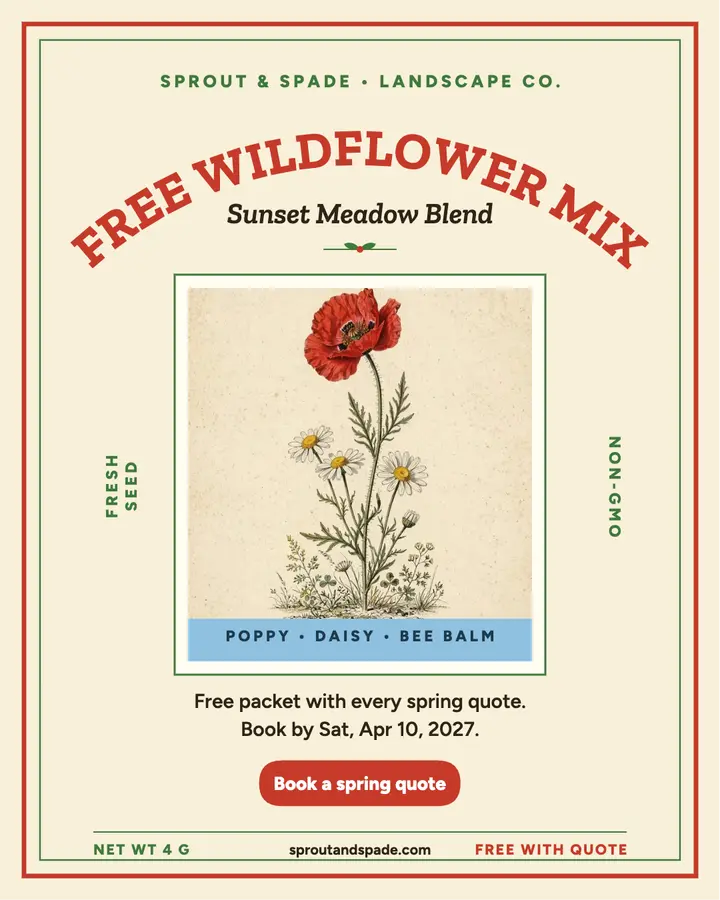 Sprout and Spade wildflower seed post: wildflower seed giveaway post template