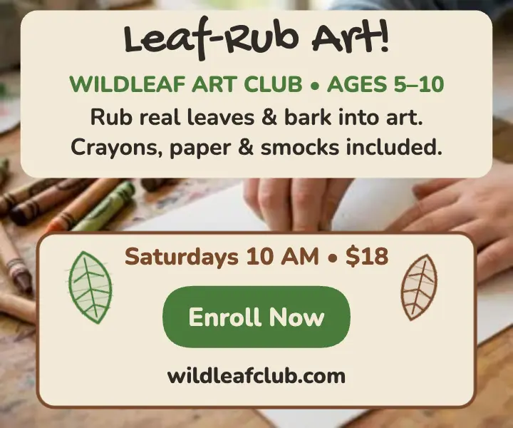 Wildleaf leaf rubbing class ad template