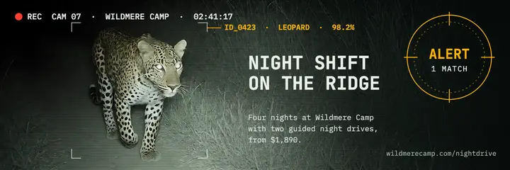 Wildmere Camp leopard trail-cam X header, surveillance frame template