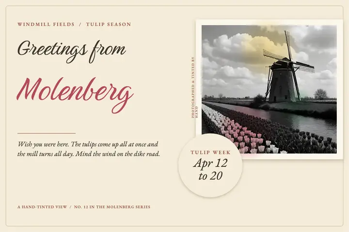 Greetings from Molenberg windmill postcard, hand-tinted template