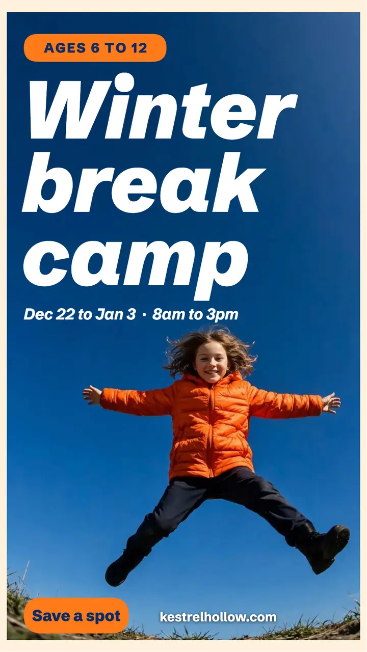 Winter break day camp low-angle story template